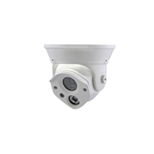 Metal Dome IP Camera 720P